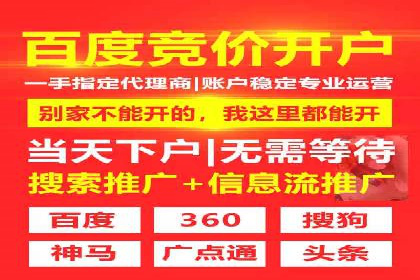 SEM服务助力中小企业案例分析